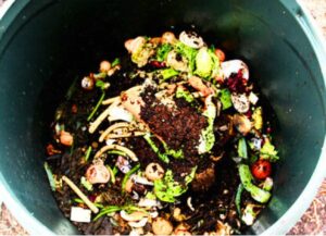 Kitchen Waste Composting