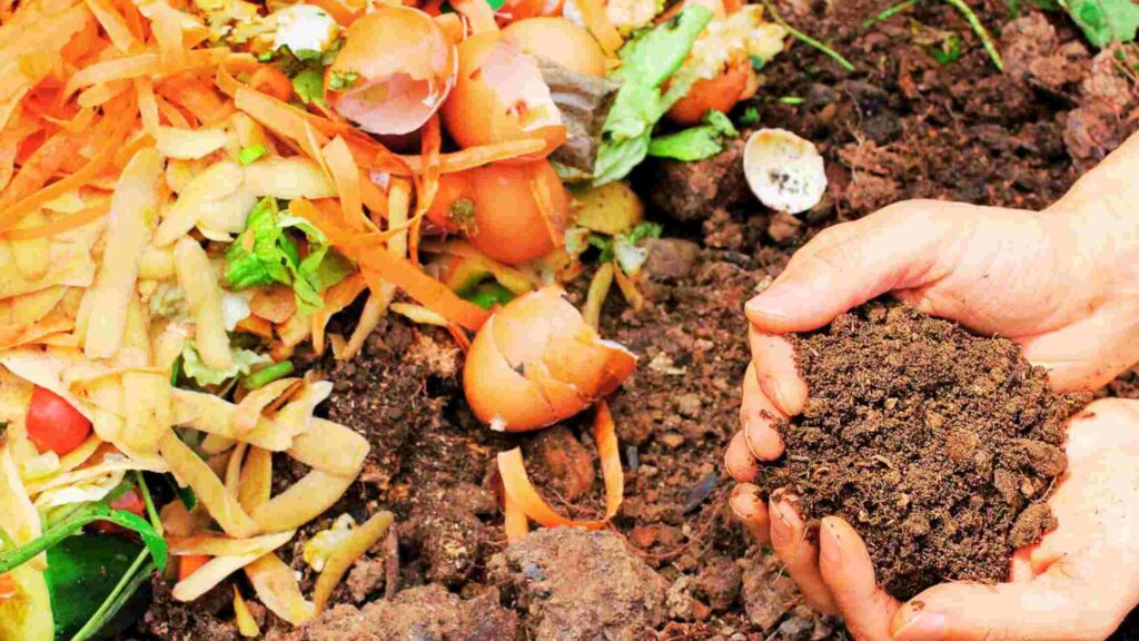 Organic Compost