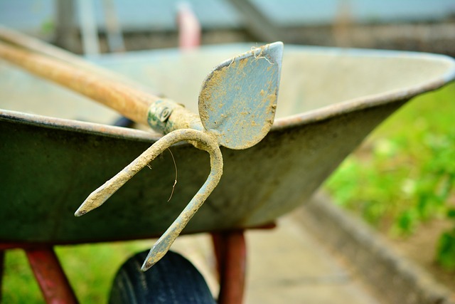 Gardening Hoe