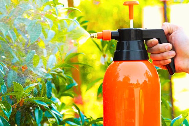 Gardening Sprayer