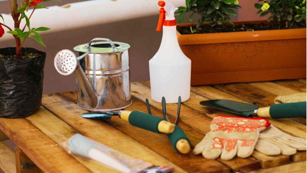 Gardening Tools for Roof Garden