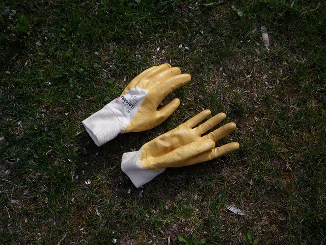 Hand Gloves for Roof Gardening