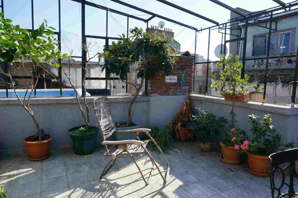 Potted Plants on the Roof Garden